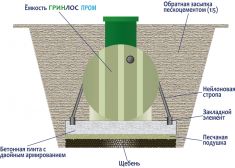 Гринлос Пром 5000
