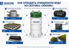 Спарта 1000